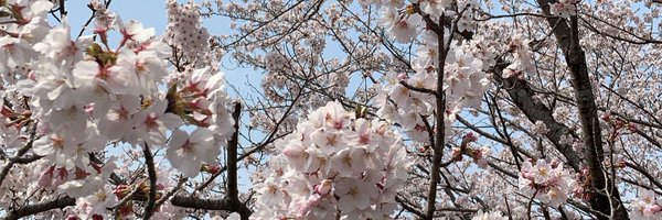 3maypas Profile Banner