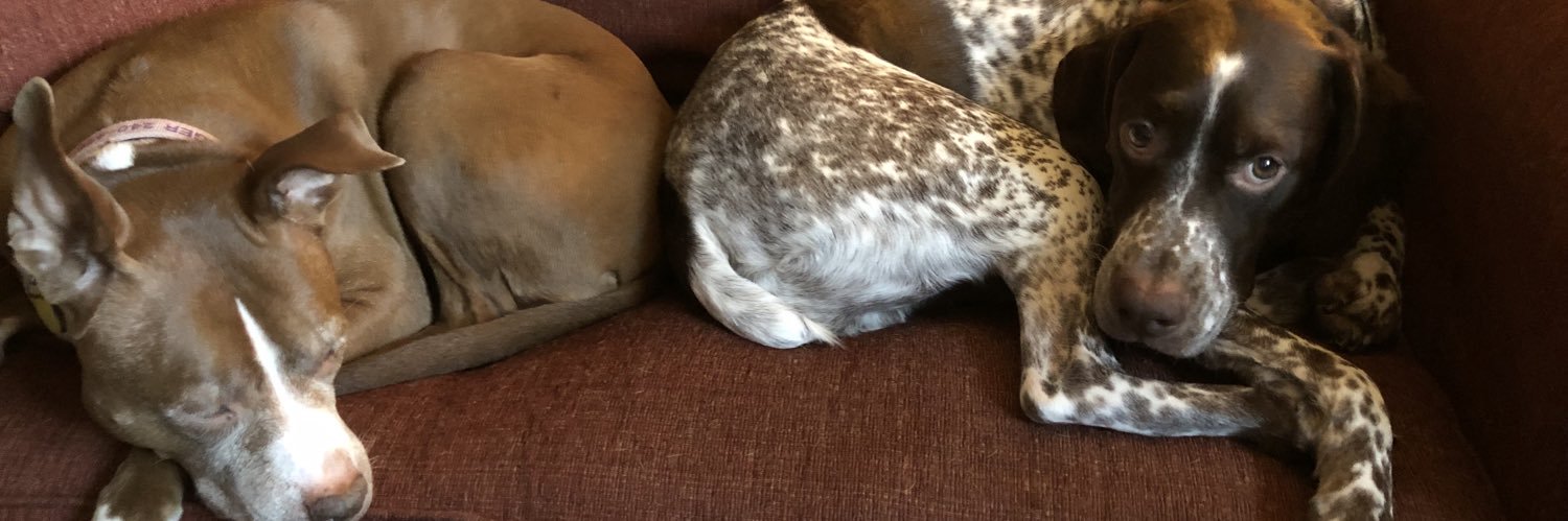 Justin Darisse banner