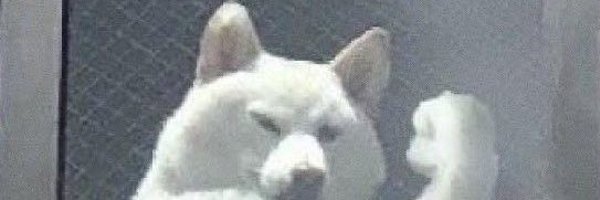 wan01224 Profile Banner