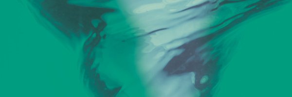 Excelsiorwater Profile Banner
