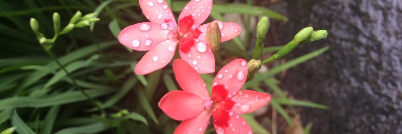 daphne7855's profile banner image