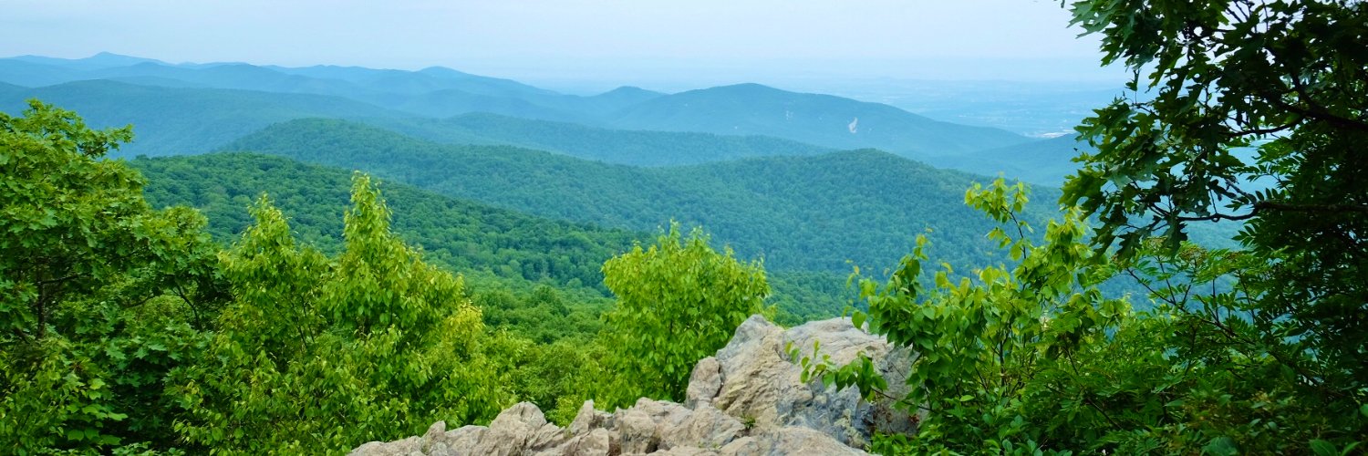 carrieella's profile banner image
