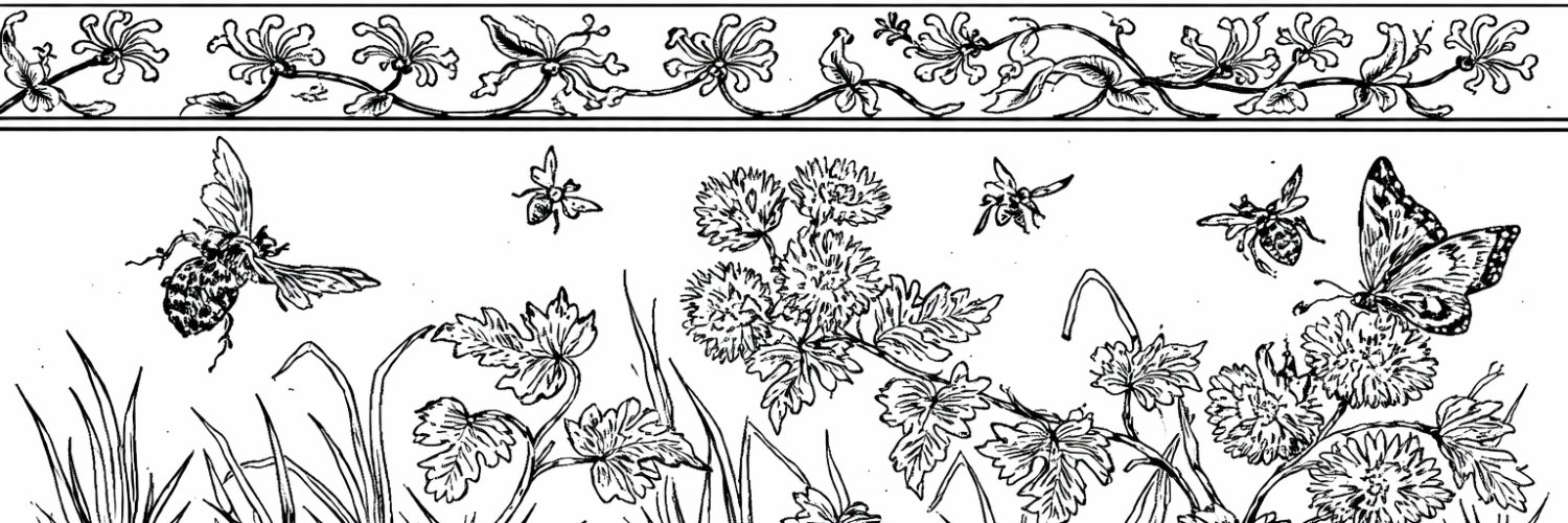 𝒎𝒊𝒎𝒊's brain 🦉 banner