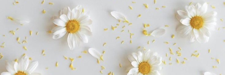 MileBezares's profile banner image