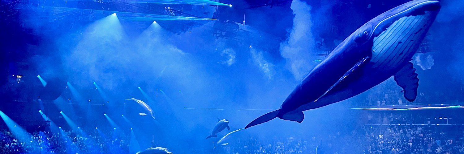 𝐋𝐢𝐬𝐚 ✨ banner