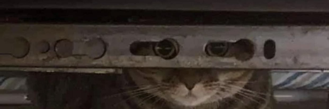 Agung Robocop banner