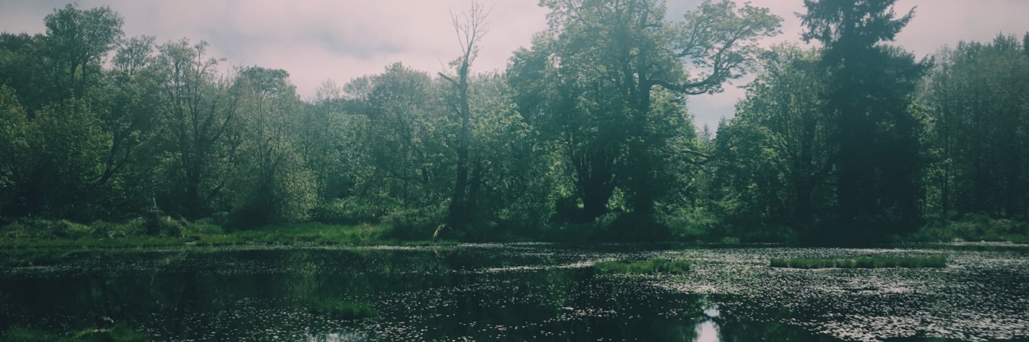 Willow_June's profile banner image