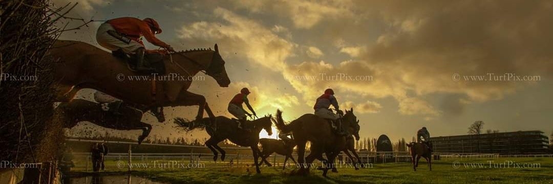 Tracy Roberts Photography banner