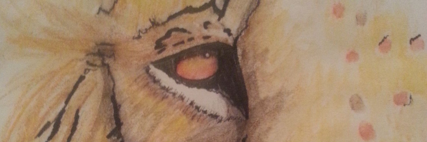 Rockmo88's profile banner image