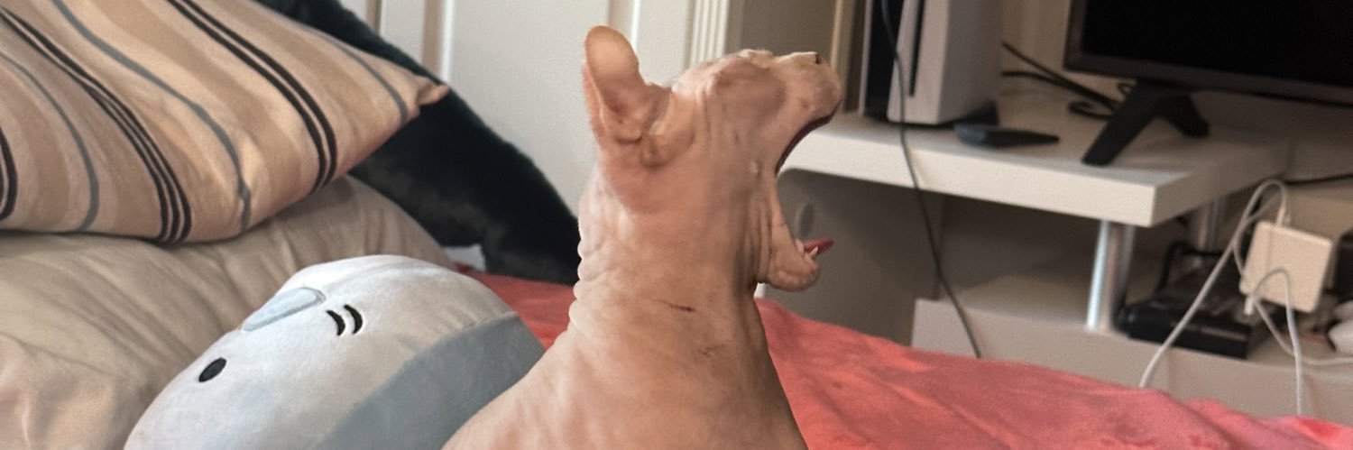 fruitymilkshark's profile banner image