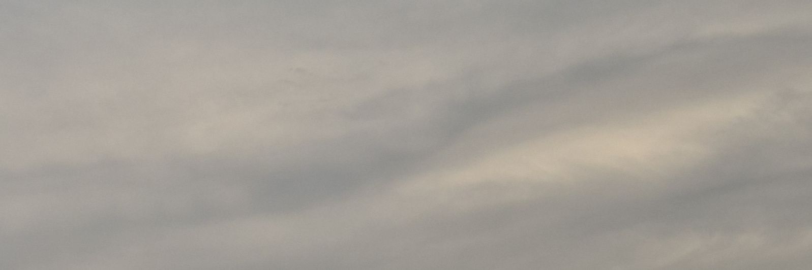 StrangerTeynx's profile banner image