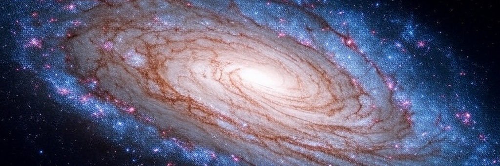 Herbert Clams banner