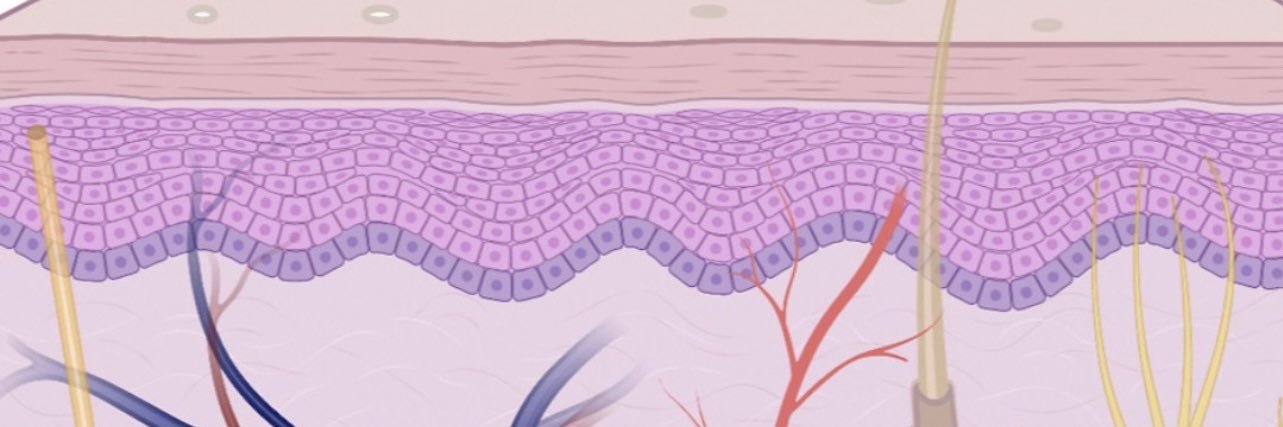 fabyderma's profile banner image