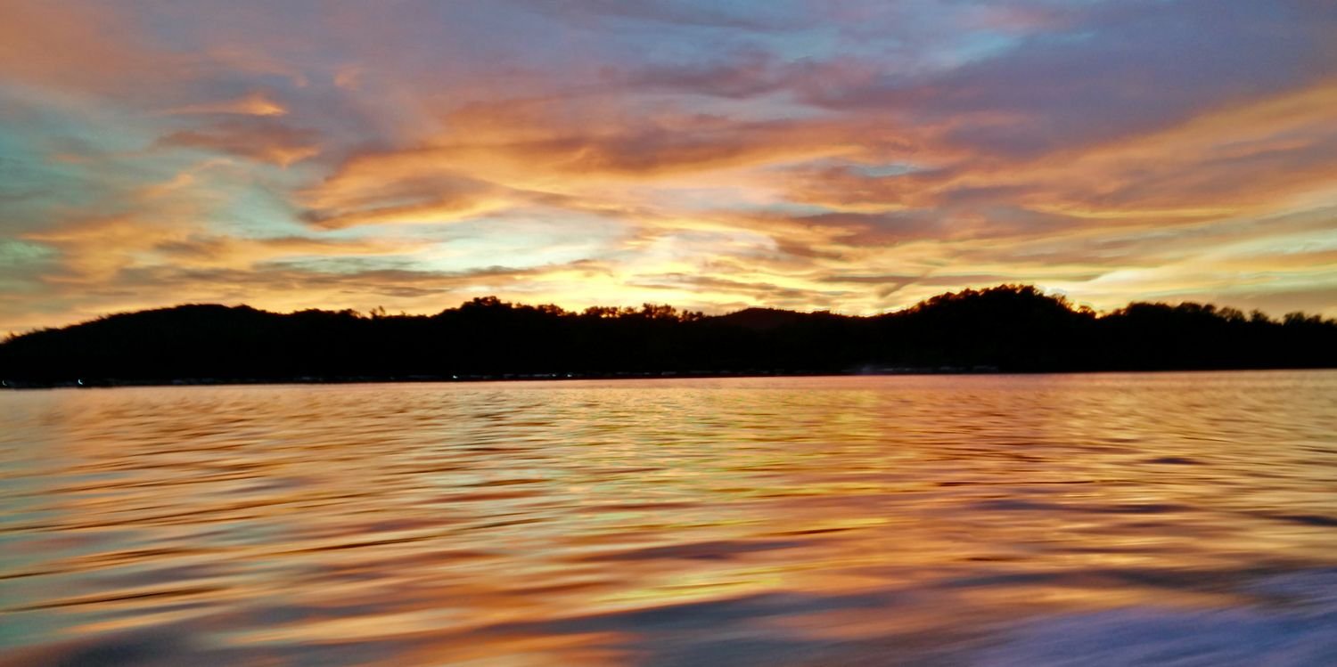 larnelle's profile banner image