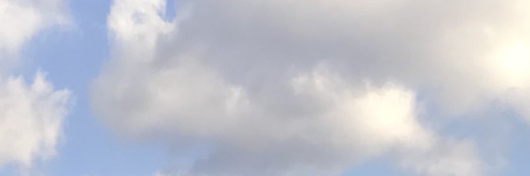 citrusicon's profile banner image