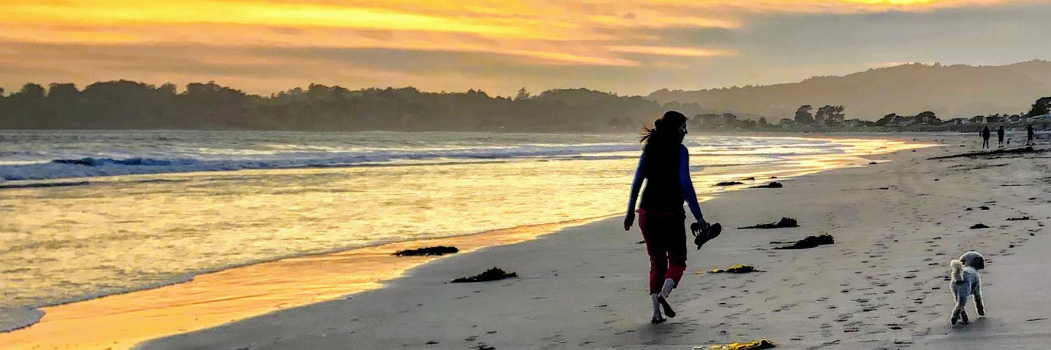 robinjoy's profile banner image