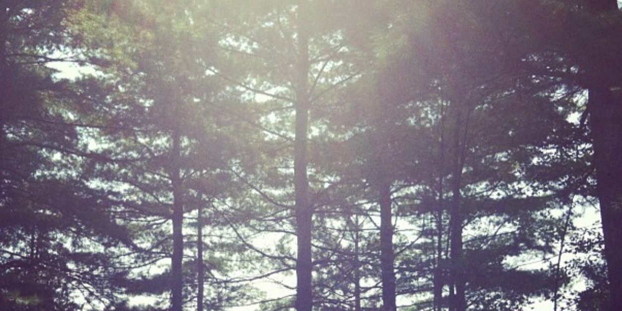 Rebecca Cheff banner