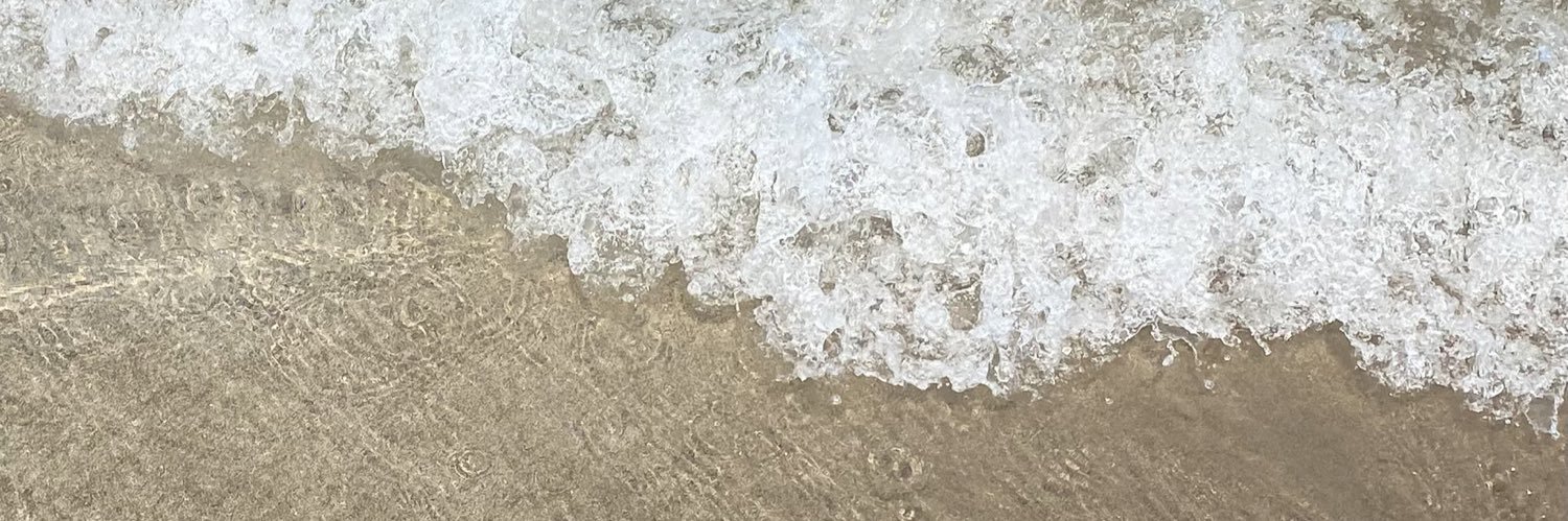 siempreflorees's profile banner image