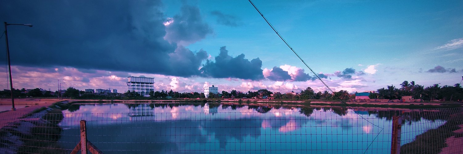 TraderPanda2's profile banner image