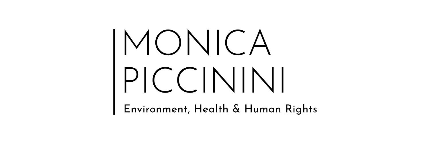 Monica Piccinini's banner