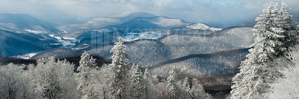 __RM1__ Profile Banner