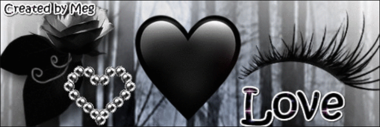 BPDChick24's profile banner image