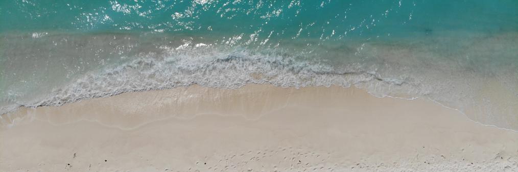 Hussain Shafiu 🇲🇻 🎗️ 🇵🇸 🔻 banner