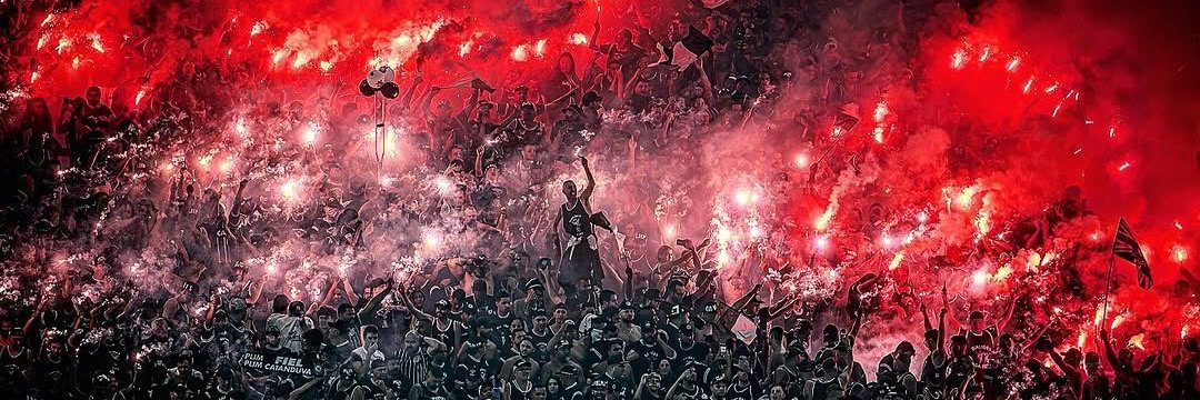 $CCP Everthon 🇧🇷 banner