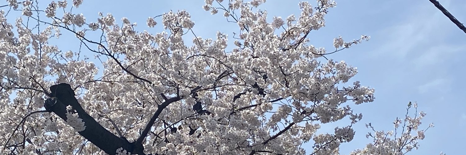 Moge256's profile banner image