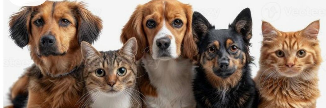 ifonelifecanbesaved banner