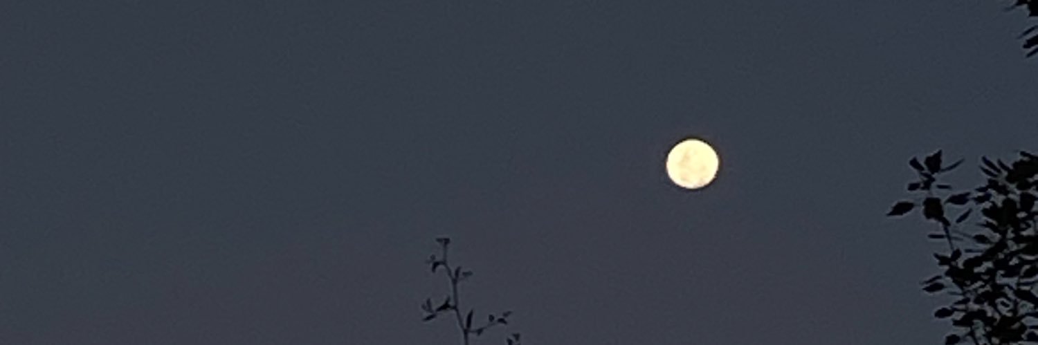 lolirissoo's profile banner image