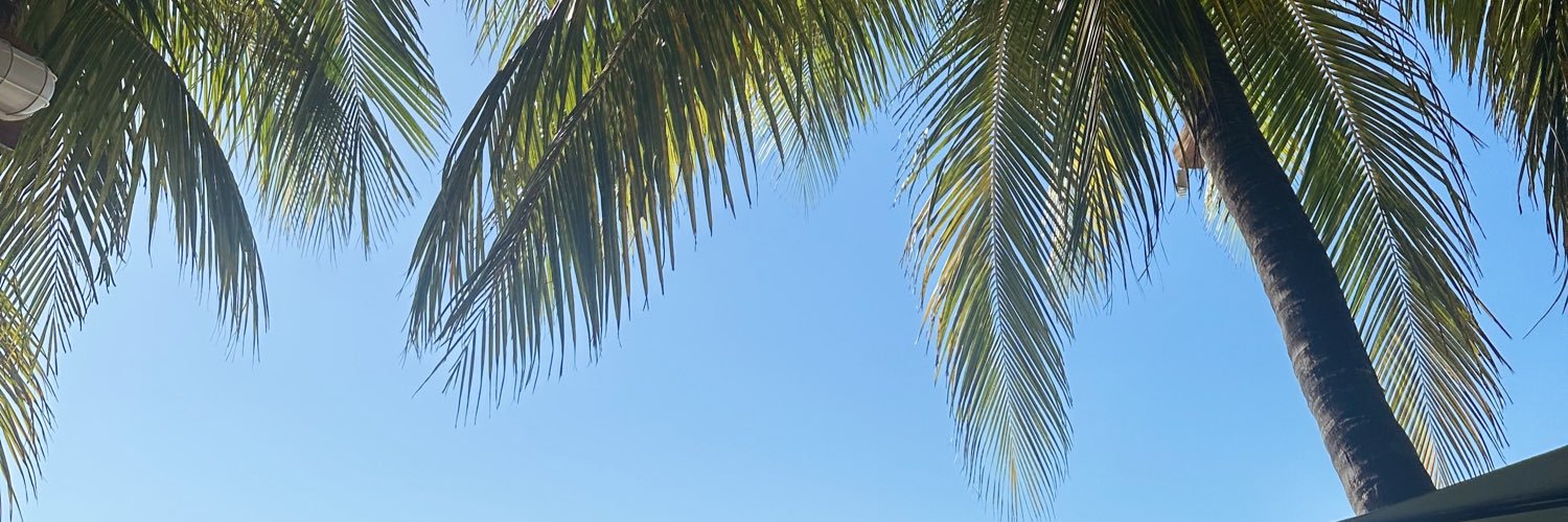 CamiSturdi's profile banner image