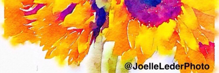 joelleleder's profile banner image