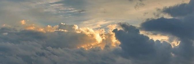 Ximena_precoma's profile banner image