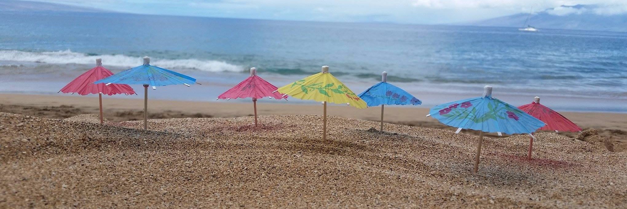 Chip Beaman (he/him) banner