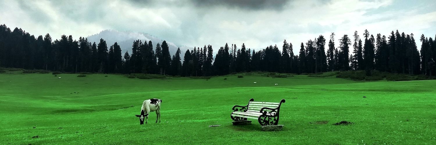 MdUniss's profile banner image