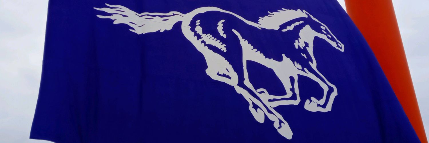 nirvanatealabo's profile banner image