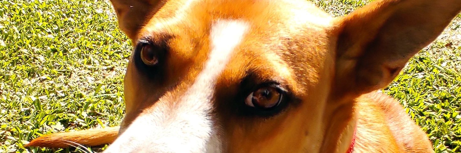 algundiaesmucho's profile banner image