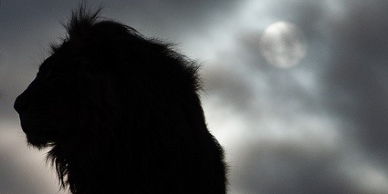 geauxgetit's profile banner image