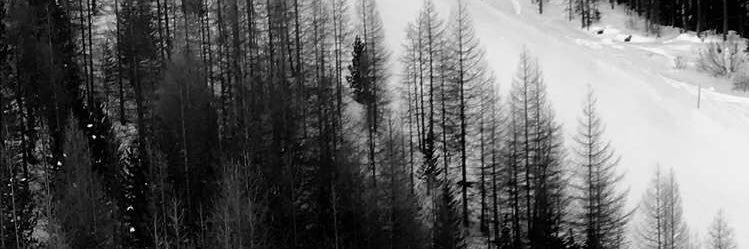 rychnerd's profile banner image