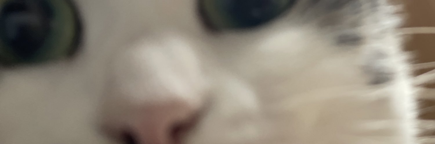 hato_okayu's profile banner image