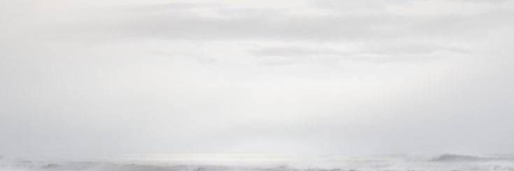 Dion. banner