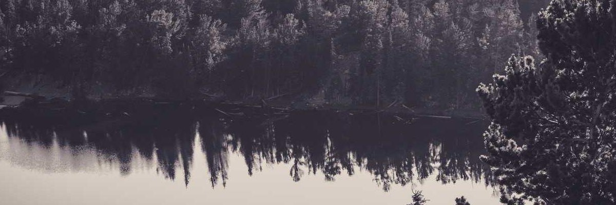 talitahn_'s profile banner image