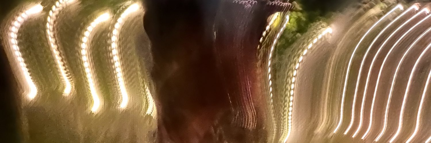 RodSalm's profile banner image