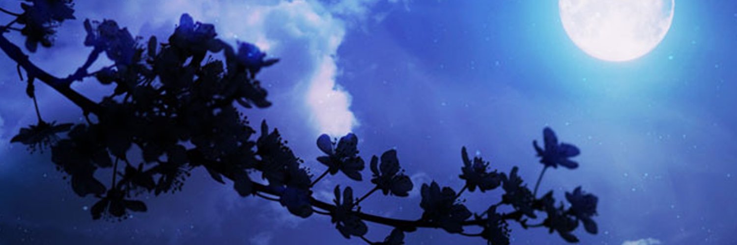 helma116's profile banner image