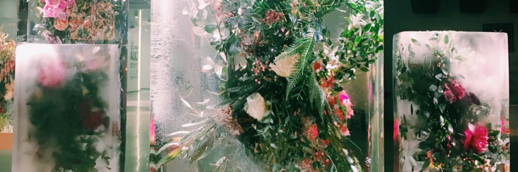 AdrienneAKelly's profile banner image