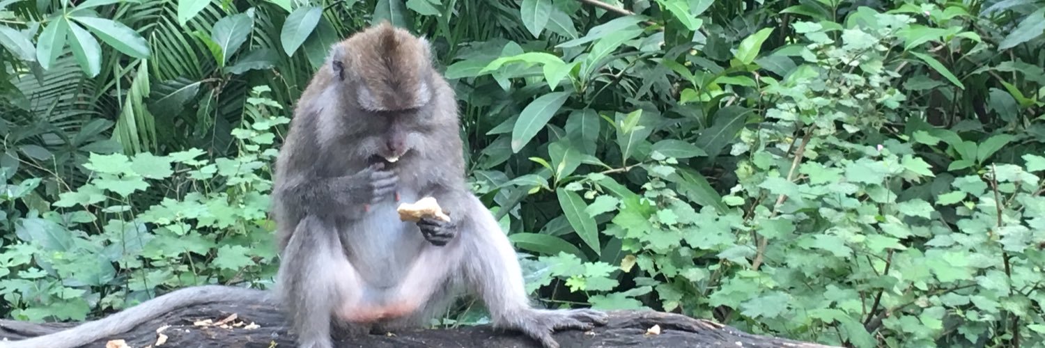 庭どうでしょう banner