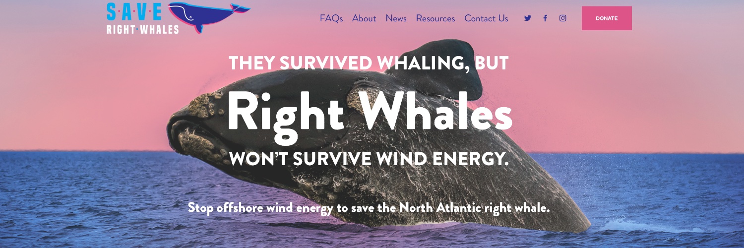 Save Right Whales Coalition banner