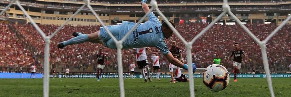 Gustavo banner