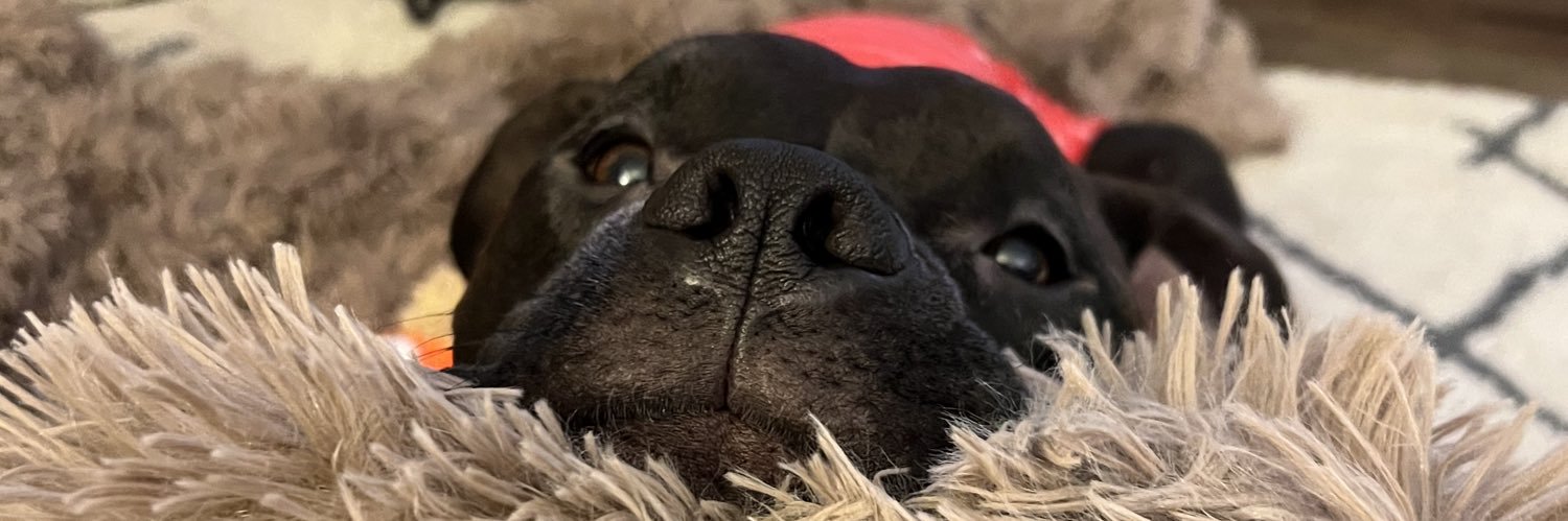 LaddTanner's profile banner image